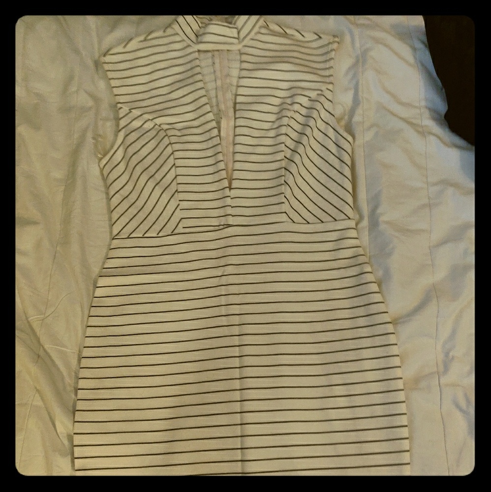 Privy body con pinstripe dress